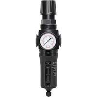 Filtre/r&eacute;gulateur drain manuel avec bol en m&eacute;tal Modulair 300, 1/4" NPT, 250 PSI, Capacit&eacute; de 5,1 oz liq. NTL Industrial