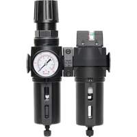 Filtre/d&eacute;tendeur & filtre coalescent Modulair 300 avec bol standard & drain manuel, 3/8" NPTF, 150 psi, Capacit&eacute; de 5,12 oz liq NTL Industrial