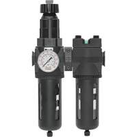 Filtre/d&eacute;tendeur & filtre coalescent Modulair 400 avec bol standard & drain manuel, 3/4" NPTF, 150 psi, Capacit&eacute; de 9,13 oz liq. NTL Industrial