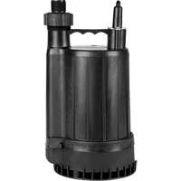 Pompe utilitaire en thermoplastique, 115 V, 2200 gal/h, 1/4 CV NTL Industrial