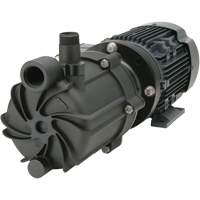 Self-Priming Magnetic Drive Pump with Carbon Bushing NTL Industrial