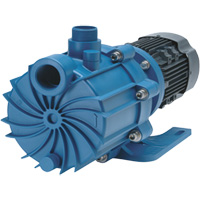 Self-Priming Magnetic Drive Pump with Carbon Bushing NTL Industrial