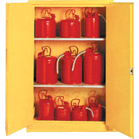 Insulated Flammable Liquid Safety Cabinets, 45 gal., 2 Door, 44" W x 66" H x 19" D SA088 | NTL Industrial