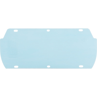 Visi&egrave;re Facetec en polycarbonate, Polycarbonate, Teinte Transparent NTL Industrial