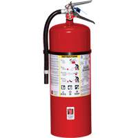Extincteur d'incendie, ABC, Capacit&eacute; 20 lb NTL Industrial