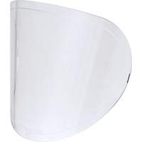 Lentilles de rechange NTL Industrial