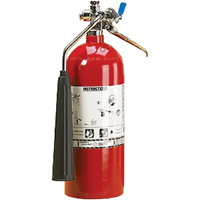 Aluminum Cylinder Carbon Dioxide (CO2) Fire Extinguishers, BC, 5 lbs. Capacity SAJ098 | NTL Industrial