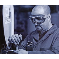 Lunettes de s&eacute;curit&eacute; &agrave; coques Uvex Flex Seal, Lentille 3,0, Antibu&eacute;e, Ventilation Indirecte NTL Industrial