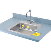 Poste de douche oculaire Swing-Away, Installation Montage sur comptoir NTL Industrial