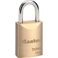 Cadenas ProSeries, Argent, Cl&eacute;s diff&eacute;rentes, Rev&ecirc;tement en laiton, Largeur de 1-9/16" NTL Industrial