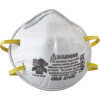 Respirateurs contre les particules 8110S, N95, Certifi&eacute; NIOSH, Petit NTL Industrial