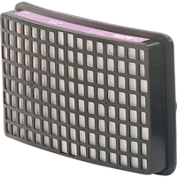 Speedglas Respiratory Protection-replacement Filters & Cartridges, P100 Filter, Pack of 2 NTL Industrial