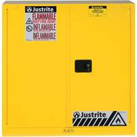 Sure-Grip&reg; Ex Flammable Storage Cabinets, 30 gal., 2 Door, 43" W x 44" H x 18" D NTL Industrial