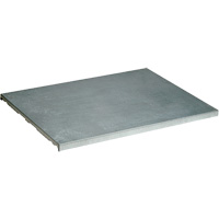 Tablette suppl&eacute;mentaire pour armoire Sure-Grip Ex pour produits inflammables NTL Industrial