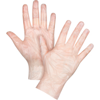 Economy Disposable Gloves, Large, Polyethylene, 1-mil, Powder-Free, Clear NTL Industrial