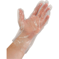 Disposable Gloves, Large, Polyethylene, 0.02-mil, Powder-Free, Clear SAI935 | NTL Industrial