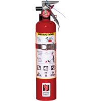 Fire Extinguisher, ABC, 2.5 lbs. Capacity SAQ814 | NTL Industrial