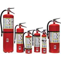 Fire Extinguisher, ABC, 30 lbs. Capacity SED110 | NTL Industrial