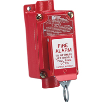 Explosion-proof Fire Alarm Pull Station (mpex) Two-step Operation Prevents Accidental Activation SAR389 | NTL Industrial