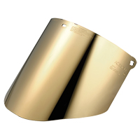 Visi&egrave;re Total Performance, Polycarbonate, Teinte Vert NTL Industrial
