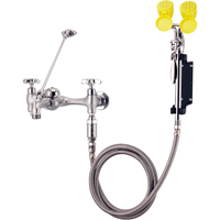 Faucet & Eyewash Station, Sink Mount Installation SAY103 | NTL Industrial