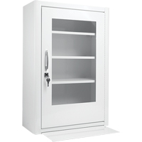 Medicine-Style Cabinets NTL Industrial