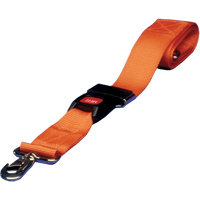 Straps With Swivel Speed Clips NTL Industrial
