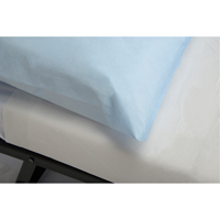Disposable Examination Drape Sheets SAY620 | NTL Industrial