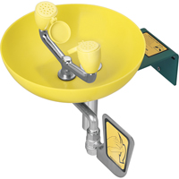 Eye/Face Wash Station, Wall-Mount Installation, Plastic Bowl NTL Industrial