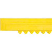 Rampe de bordure pour tapis NTL Industrial