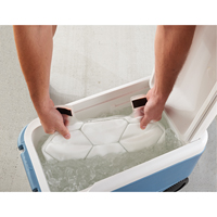 6215 Phase Change Packs for Cooling Vests NTL Industrial