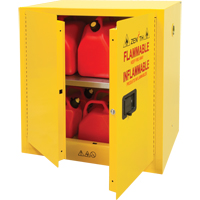 Armoire pour produits inflammables, 22 gal., 2 Porte(s), 35" La x 35" h x 22" p NTL Industrial