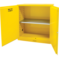 Flammable Storage Cabinet, 30 gal., 2 Door, 43" W x 44" H x 18" D SDN646 | NTL Industrial