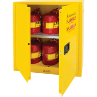 Flammable Storage Cabinet, 30 gal., 2 Door, 43" W x 44" H x 18" D SDN646 | NTL Industrial