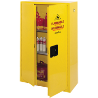Flammable Storage Cabinet, 45 gal., 2 Door, 43" W x 65" H x 18" D SDN647 | NTL Industrial