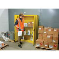 Flammable Storage Cabinet, 45 gal., 2 Door, 43" W x 65" H x 18" D SDN647 | NTL Industrial