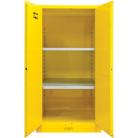Flammable Storage Cabinet, 60 gal., 2 Door, 34" W x 65" H x 34" D SDN648 | NTL Industrial