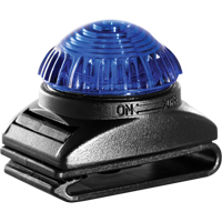 Guardian Warning Light, Continuous/Flashing, Blue NTL Industrial