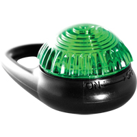 TAG-IT Guardian Warning Light, Continuous/Flashing, Green NTL Industrial