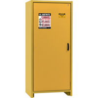30-Minute EN Safety Storage Cabinet, 30 gal., 1 Door, 34.02" W x 76.65" H x 24.21" D SDS990 | NTL Industrial