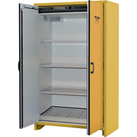 30-Minute EN Safety Storage Cabinet, 45 gal., 2 Door, 45.83" W x 76.65" H x 24.21" D SDS991 | NTL Industrial
