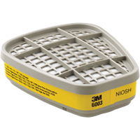6000 Series Respirator Cartridges, Gas/Vapour Cartridge, Organic Vapour/Acid Gas NTL Industrial
