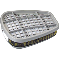 6000 Series Respirator Cartridges, Gas/Vapour Cartridge, Formaldehyde/Organic Vapour NTL Industrial