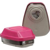 Cartouches pour respirateur s&eacute;rie 6000, Cartouche gaz/vapeur, Vapeurs organiques/P100 NTL Industrial