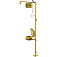 Halo Combination Emergency Shower & Eyewash Station NTL Industrial