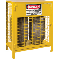 Gas Cylinder Cabinets, 2 Cylinder Capacity, 30" W x 17" D x 37" H, Yellow SEB837 | NTL Industrial