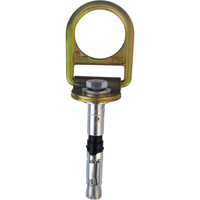 PRO™ Concrete D-ring Anchor with Bolt, Concrete/D-Ring, Permanent Use SEB928 | NTL Industrial