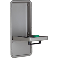 Eye/Face Wash Station, Wall-Mount Installation, Stainless Steel Bowl NTL Industrial