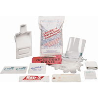 Fluid Spill Clean-Up Kit, Hazmat, Bag, None Absorbancy SEE492 | NTL Industrial