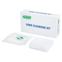 Hand Cleansing Kit, Towelette SEE670 | NTL Industrial